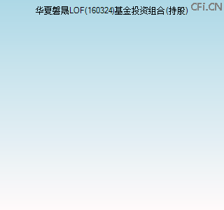 160324基金投资组合(持股)图 160324基金投资组合(持股)图