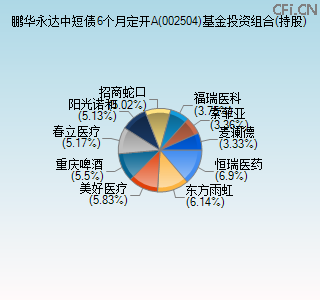002504基金投资组合(持股)图 002504基金投资组合(持股)图