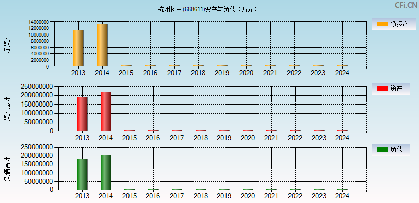 杭州柯林(688611)资产负债表图