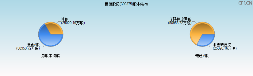 鹏翎股份(300375)股本结构图