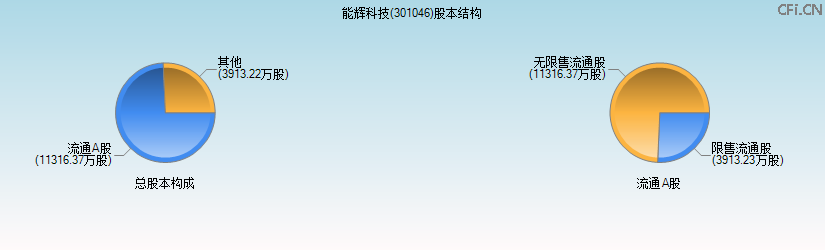 能辉科技(301046)股本结构图 能辉科技(301046)股本结构图
