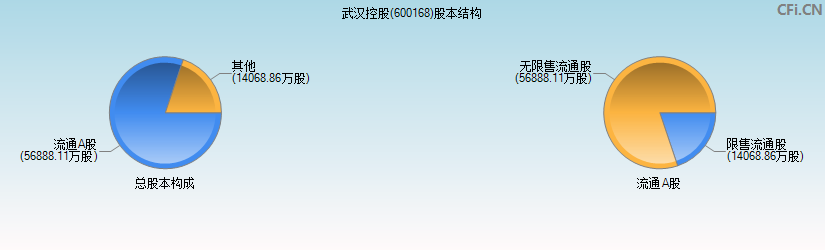 武汉控股(600168)股本结构图