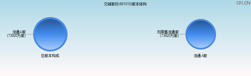 文峰股份(601010)股本结构图