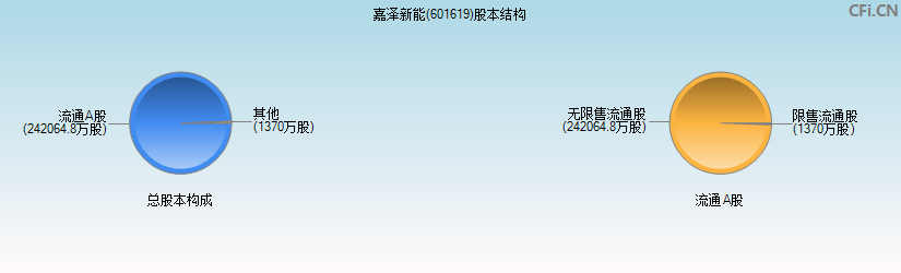 嘉泽新能(601619)股本结构图