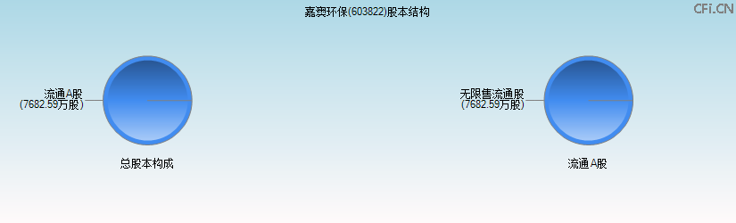 嘉澳环保(603822)股本结构图 嘉澳环保(603822)股本结构图