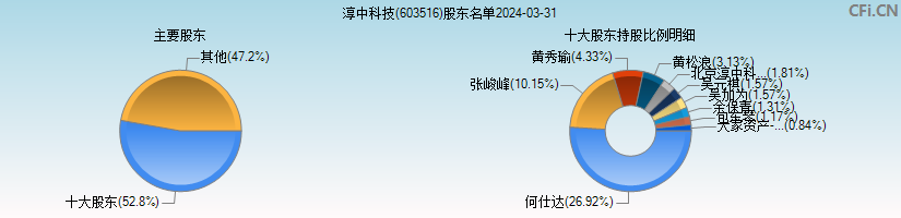 淳中科技(603516)主要股东图