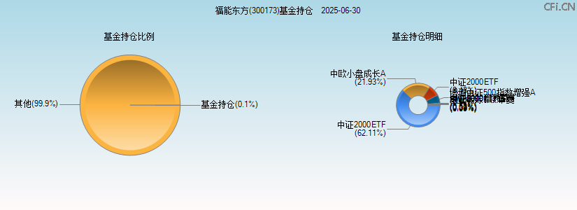 福能东方(300173)基金持仓图 福能东方(300173)基金持仓图