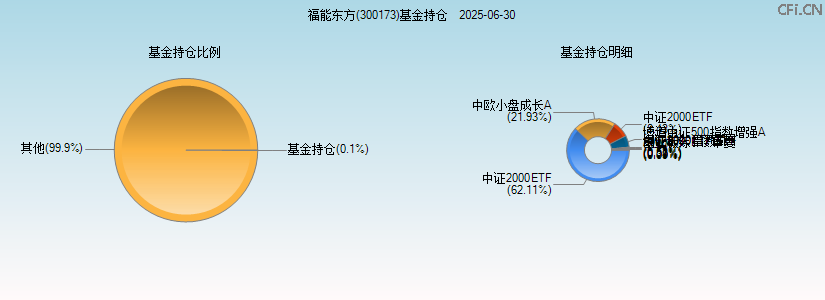 福能东方(300173)基金持仓图