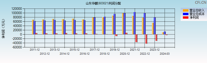 山东华鹏(603021)利润分配表图