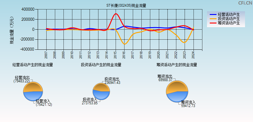 长江健康(002435)现金流量表图
