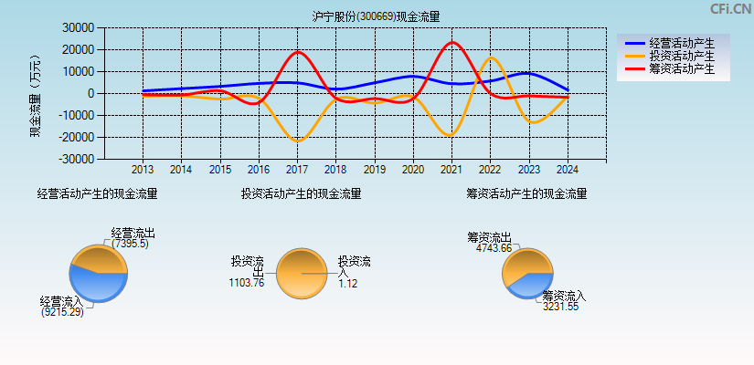 沪宁股份(300669)现金流量表图
