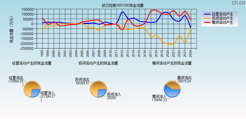 武汉控股(600168)现金流量表图