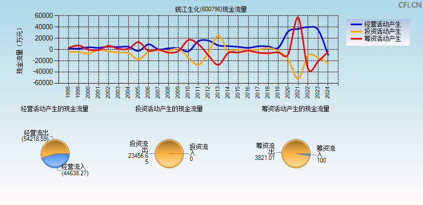 钱江生化(600796)现金流量表图