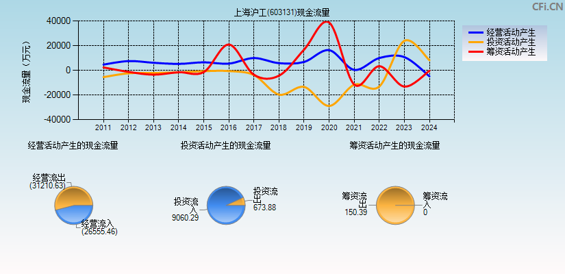 上海沪工(603131)现金流量表图