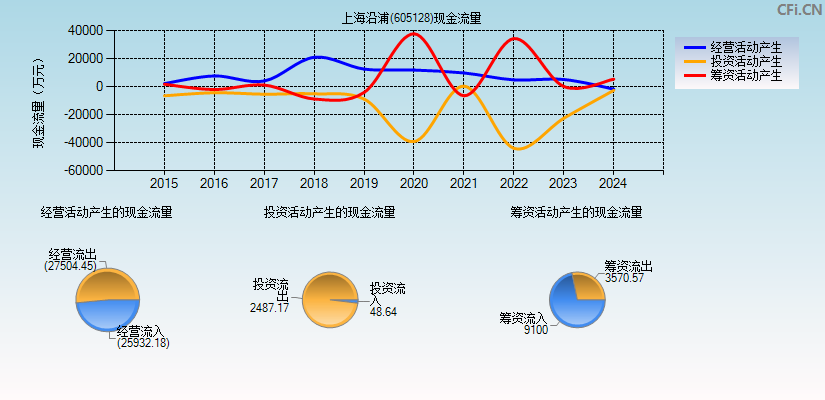 上海沿浦(605128)现金流量表图