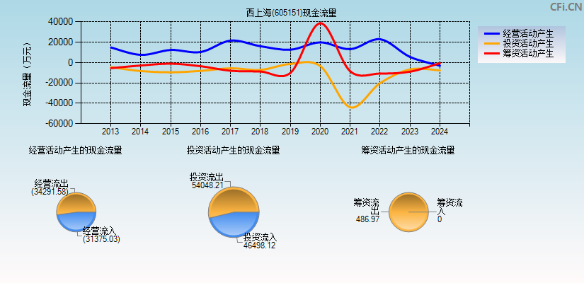 西上海(605151)现金流量表图