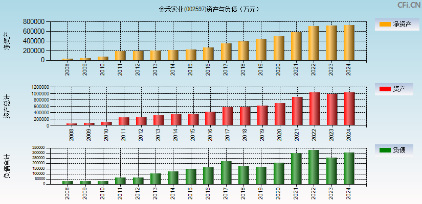 金禾实业(002597)资产负债表图