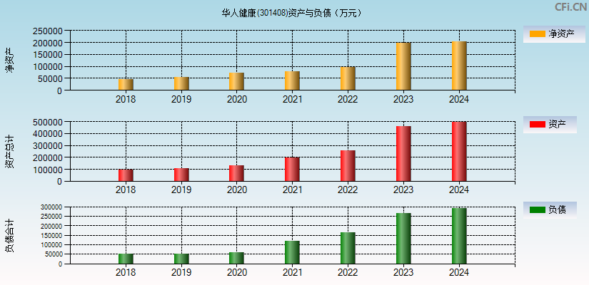 华人健康(301408)资产负债表图
