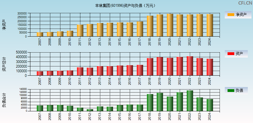 丰林集团(601996)资产负债表图