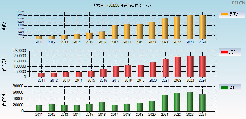 天龙股份(603266)资产负债表图