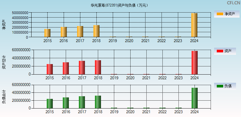 华光源海(872351)资产负债表图