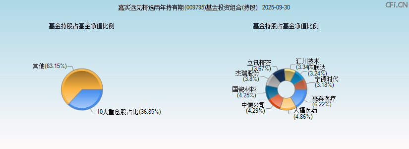 嘉实远见精选两年持有期(009795)基金投资组合(持股)图 嘉实远见精选两年持有期(009795)基金投资组合(持股)图