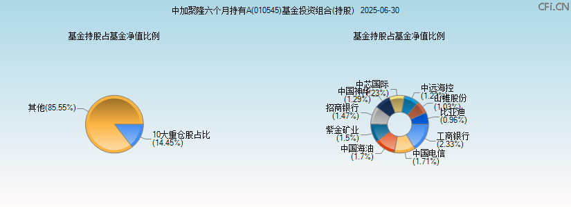 中加聚隆六个月持有A(010545)基金投资组合(持股)图 中加聚隆六个月持有A(010545)基金投资组合(持股)图