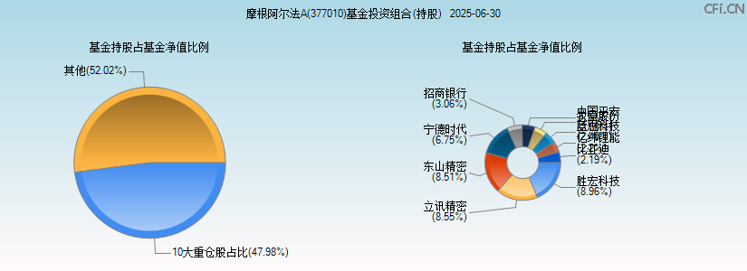摩根阿尔法A(377010)基金投资组合(持股)图 摩根阿尔法A(377010)基金投资组合(持股)图
