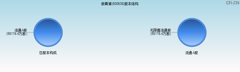 新黄浦(600638)股本结构图