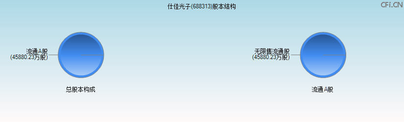 仕佳光子(688313)股本结构图