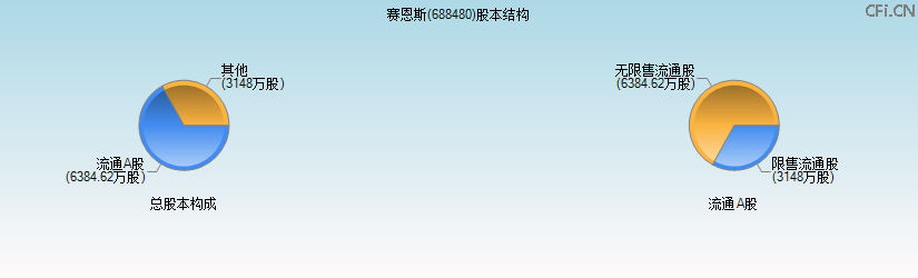 赛恩斯(688480)股本结构图