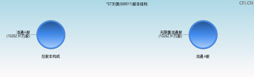 *ST天微(688511)股本结构图