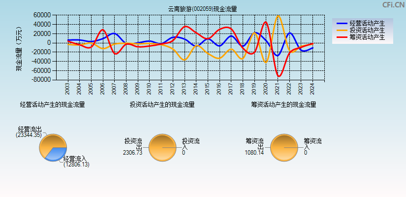 云南旅游(002059)现金流量表图