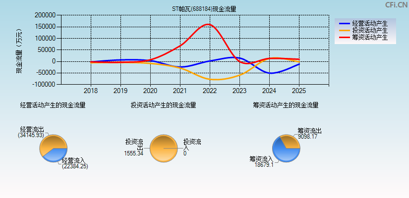 ST帕瓦(688184)现金流量表图