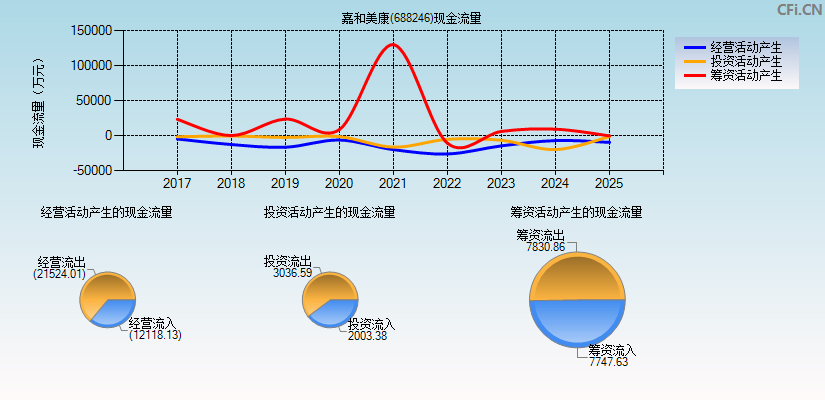 嘉和美康(688246)现金流量表图