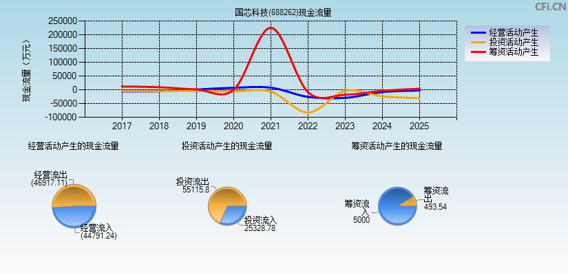 国芯科技(688262)现金流量表图