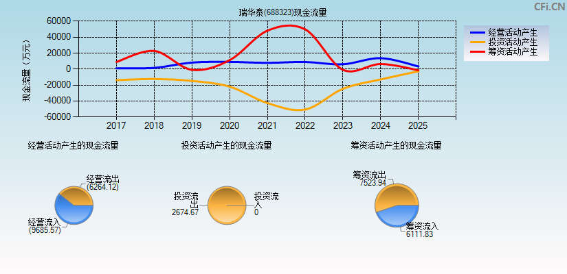 瑞华泰(688323)现金流量表图