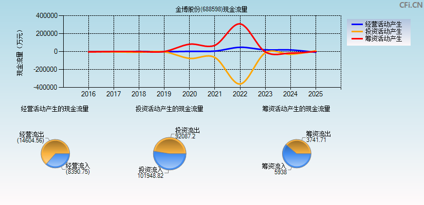 金博股份(688598)现金流量表图