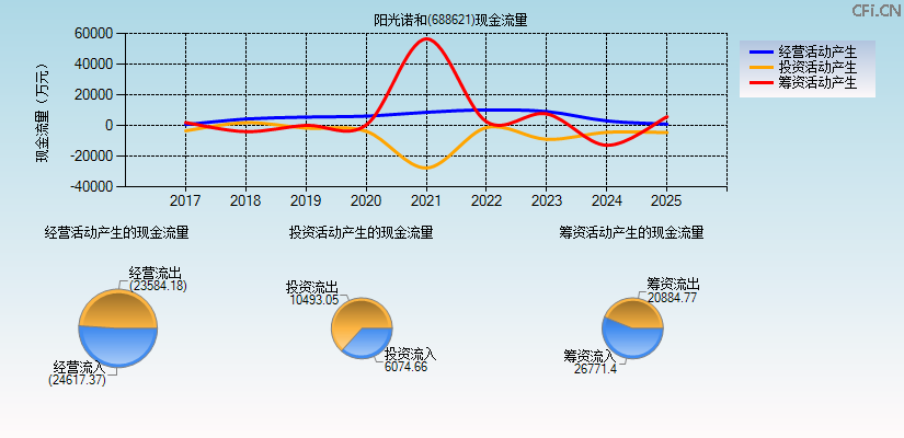 阳光诺和(688621)现金流量表图