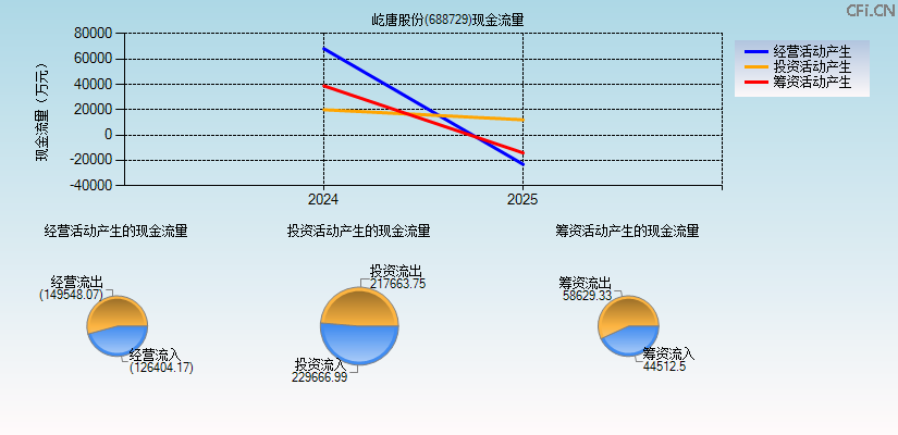 屹唐股份(688729)现金流量表图