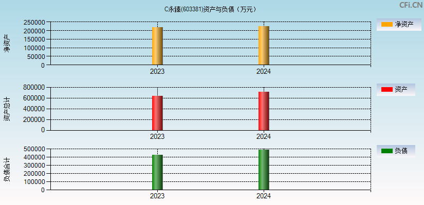 C永臻(603381)资产负债表图