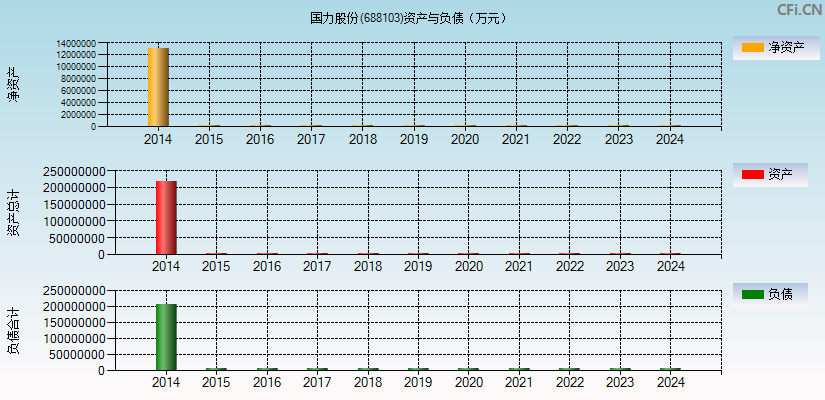 国力股份(688103)资产负债表图