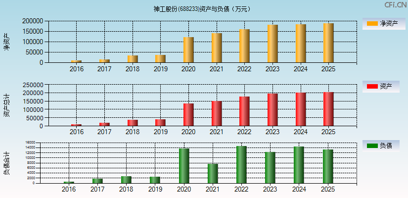 神工股份(688233)资产负债表图