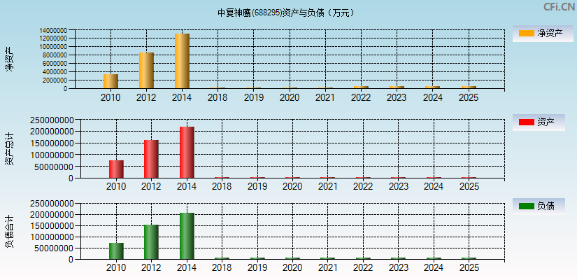 中复神鹰(688295)资产负债表图