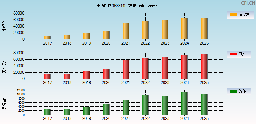 康拓医疗(688314)资产负债表图