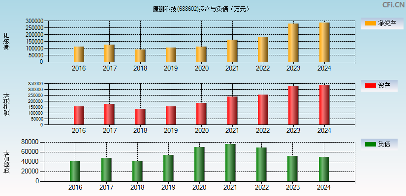 康鹏科技(688602)资产负债表图