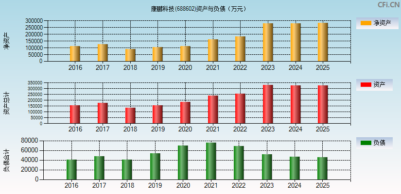 康鹏科技(688602)资产负债表图