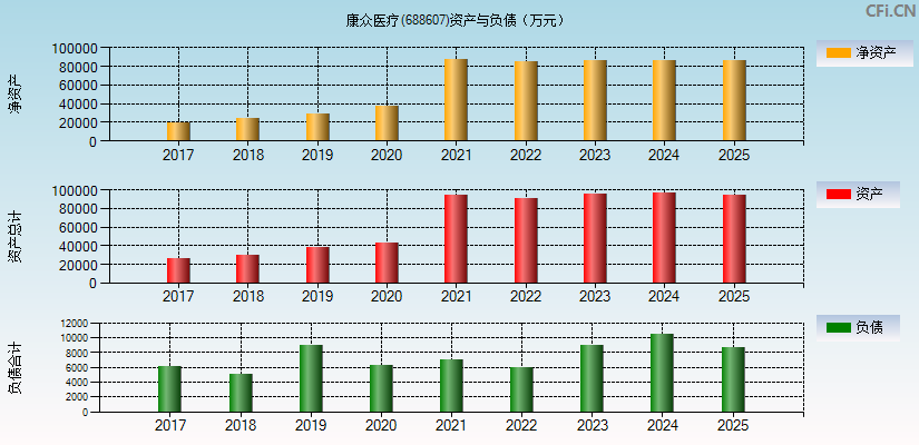 康众医疗(688607)资产负债表图