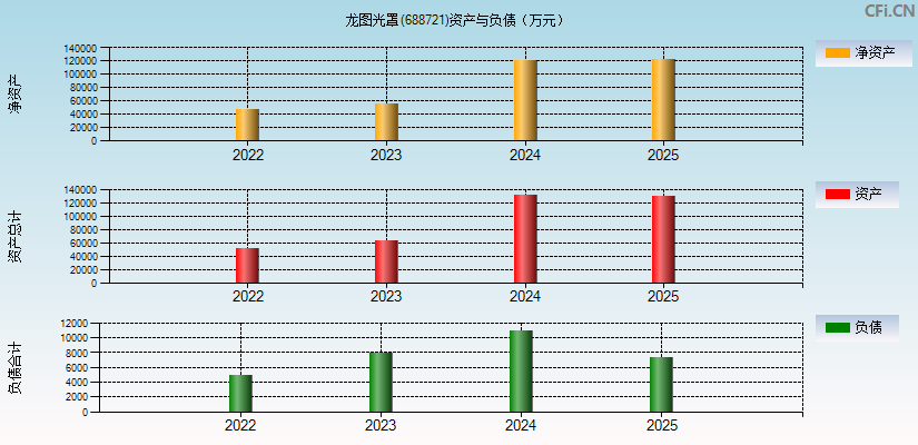 龙图光罩(688721)资产负债表图