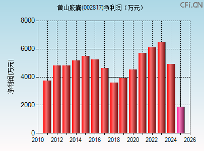 002817财务指标图